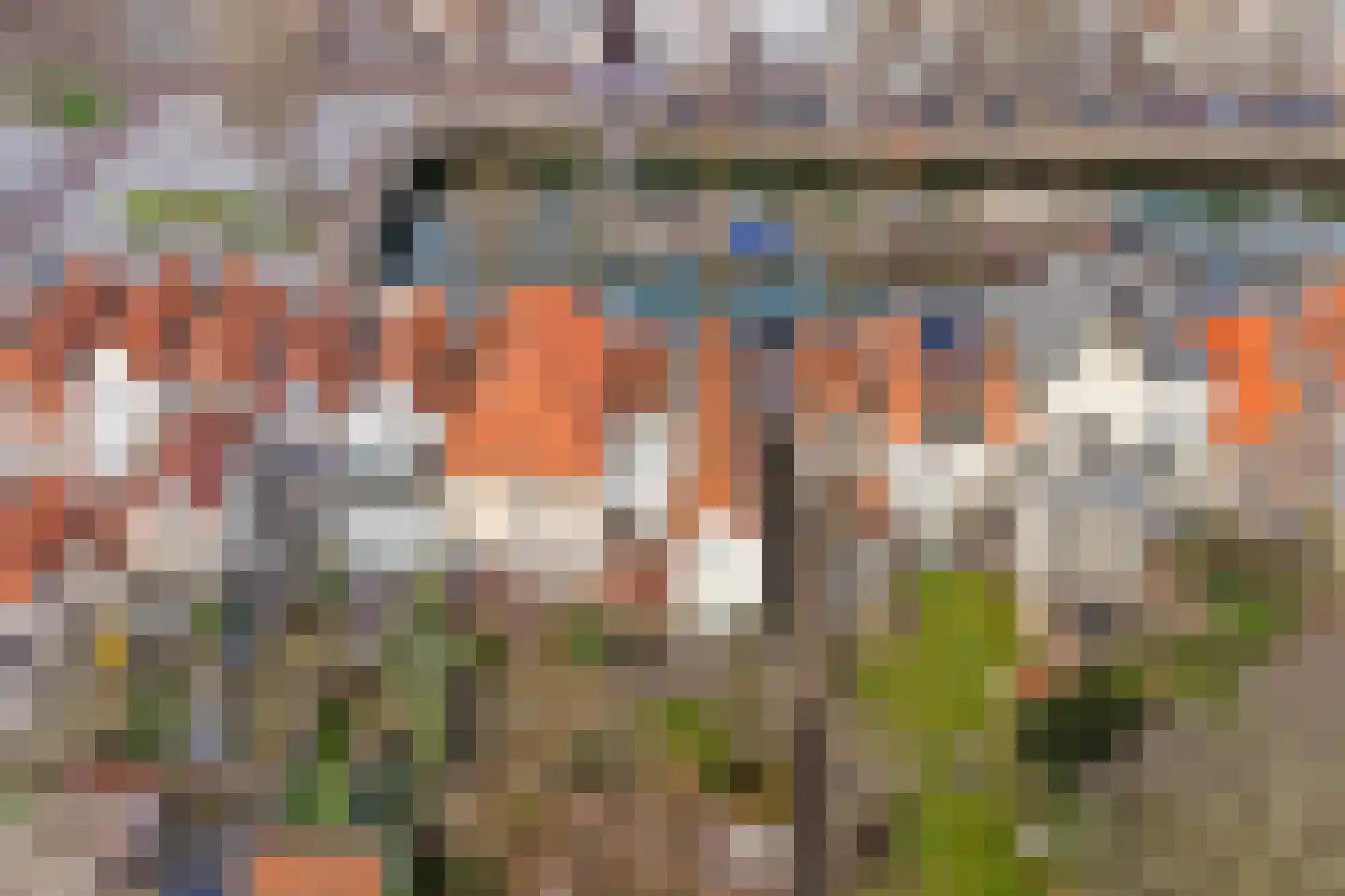 Oude Haven 8 Zierikzee thumbnail 55