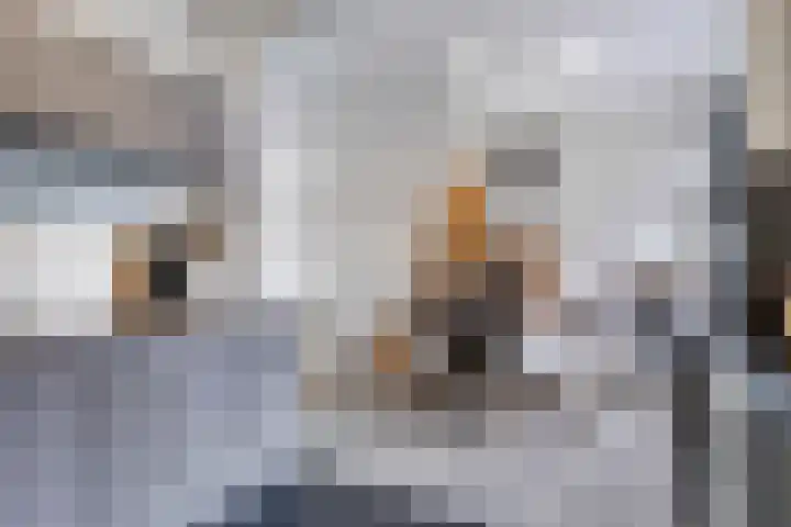 Oude Havenstraat 13 Arnemuiden thumbnail 15