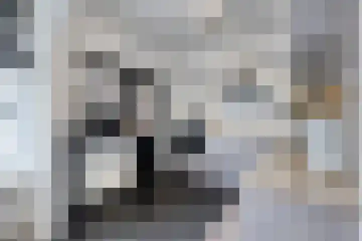 Oude Havenstraat 13 Arnemuiden thumbnail 16