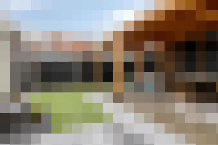 Oude Havenstraat 13 Arnemuiden thumbnail 33