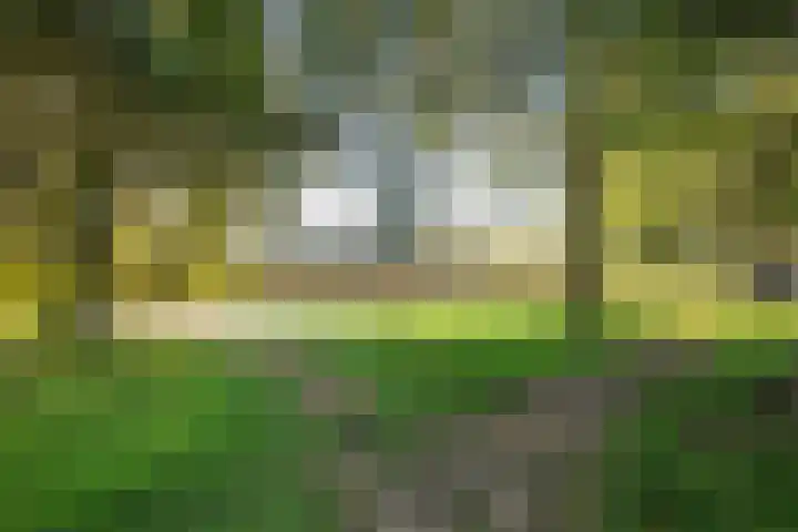 Oude Havenstraat 13 Arnemuiden thumbnail 37