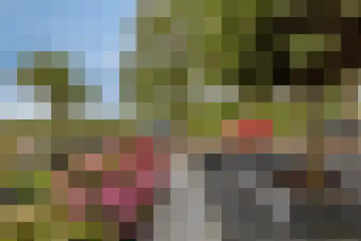 Oude Havenstraat 13 Arnemuiden thumbnail 5