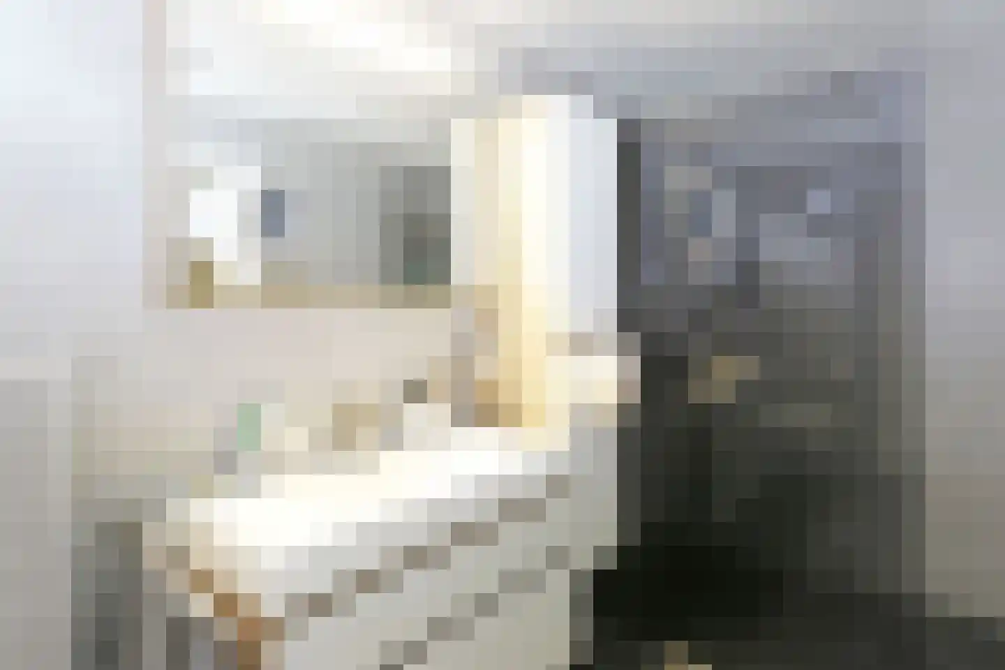Oude Havenstraat 14 Buitenpost thumbnail 27