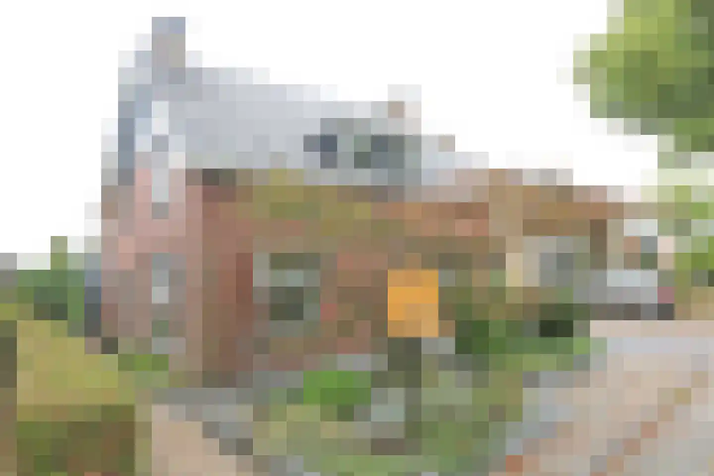Oude Havenstraat 14 Buitenpost foto 3