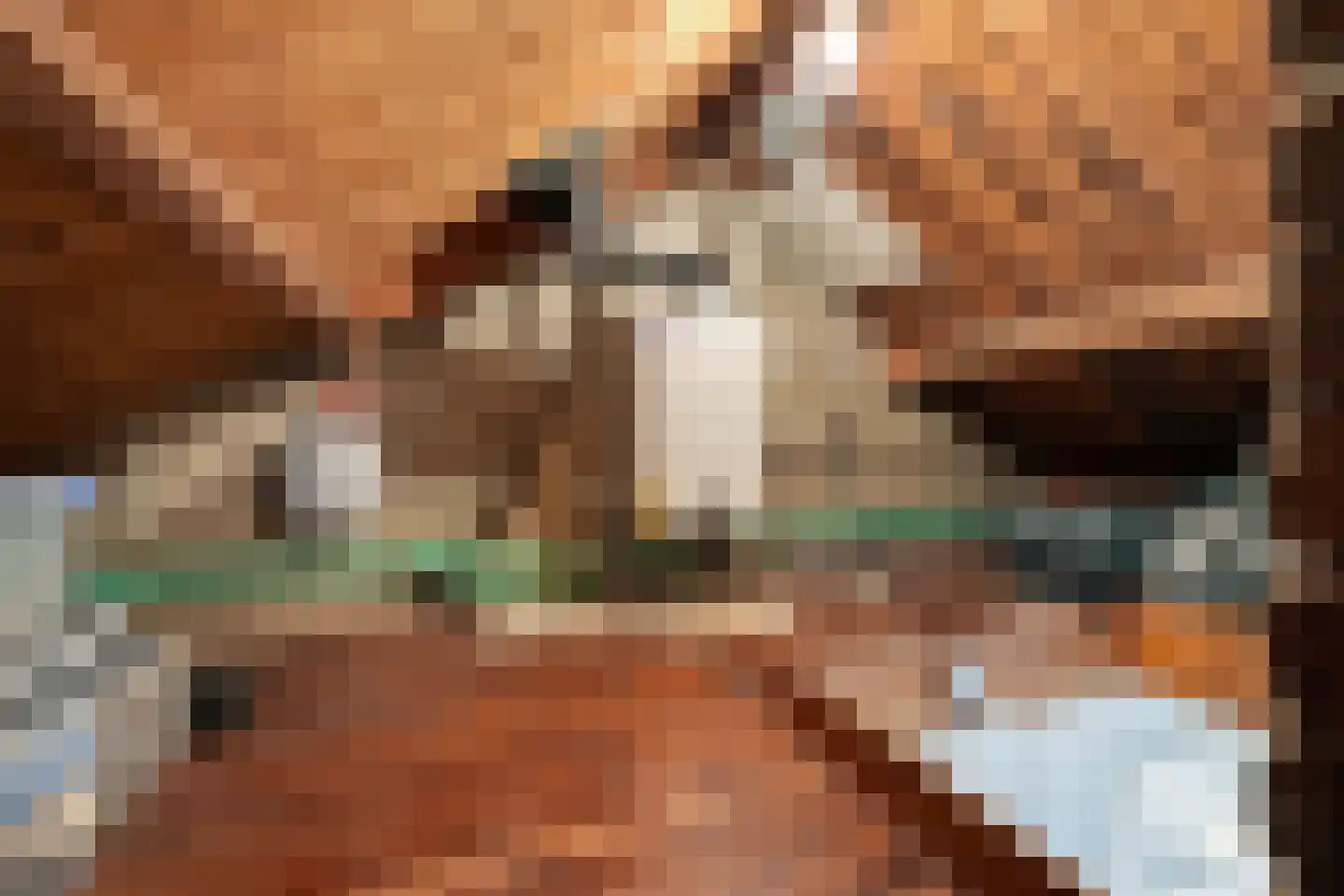 Oude Havenstraat 17 Arnemuiden thumbnail 24