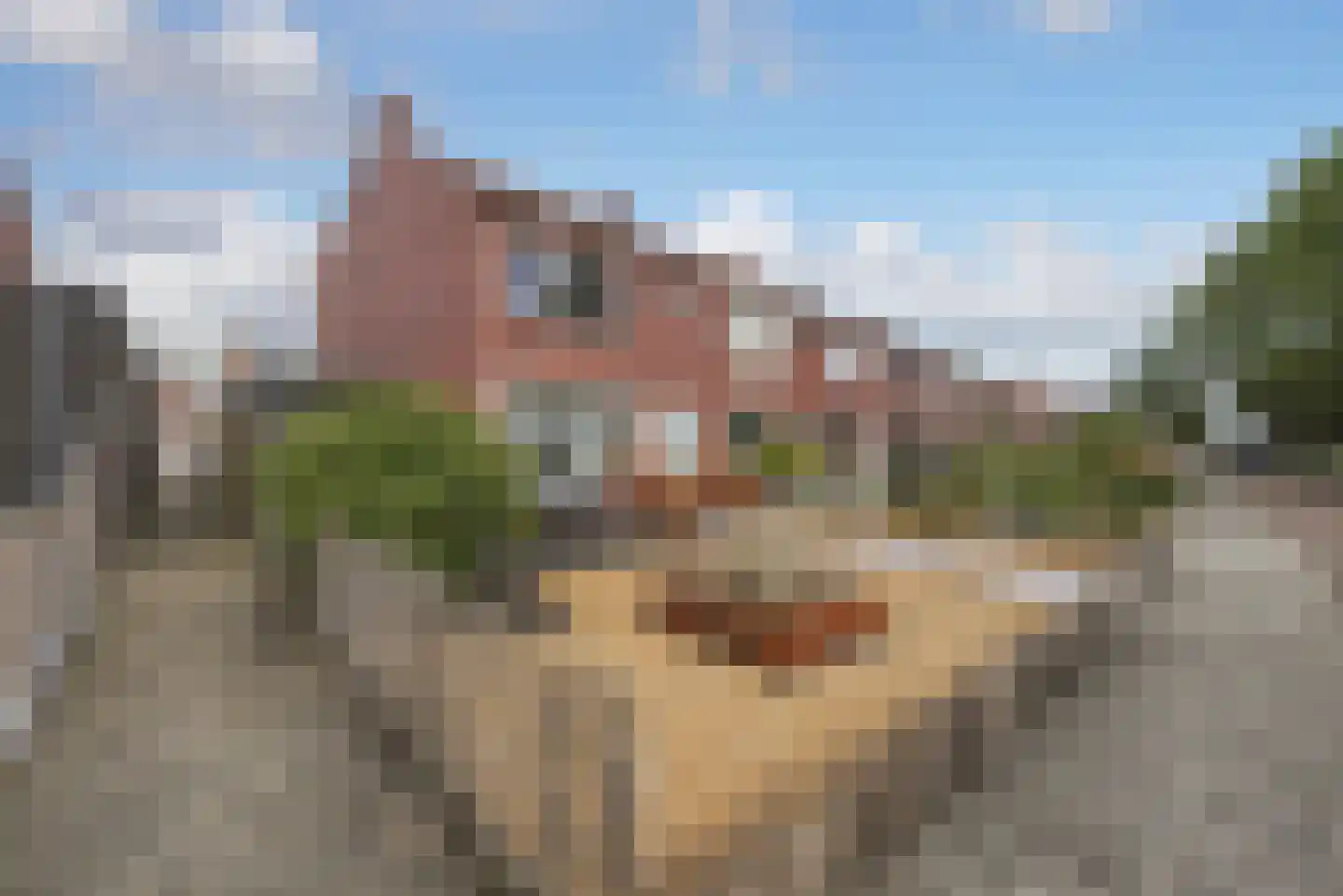 Oude Havenstraat 17 Arnemuiden thumbnail 29