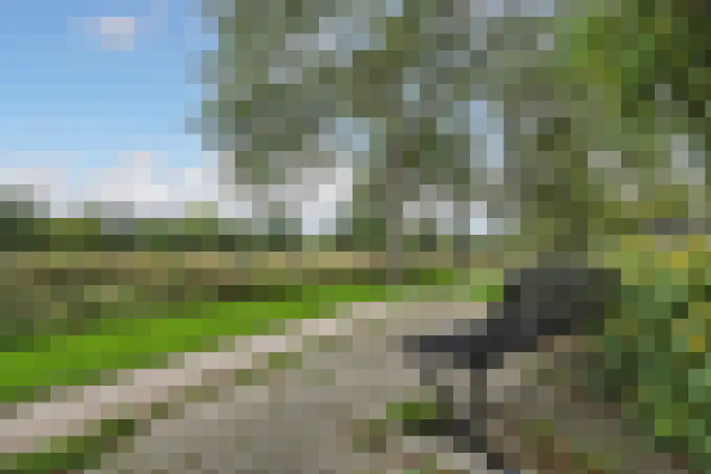Oude Havenstraat 17 Arnemuiden thumbnail 31