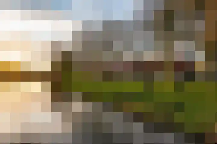 Oude Havenstraat 27 Arnemuiden thumbnail 43