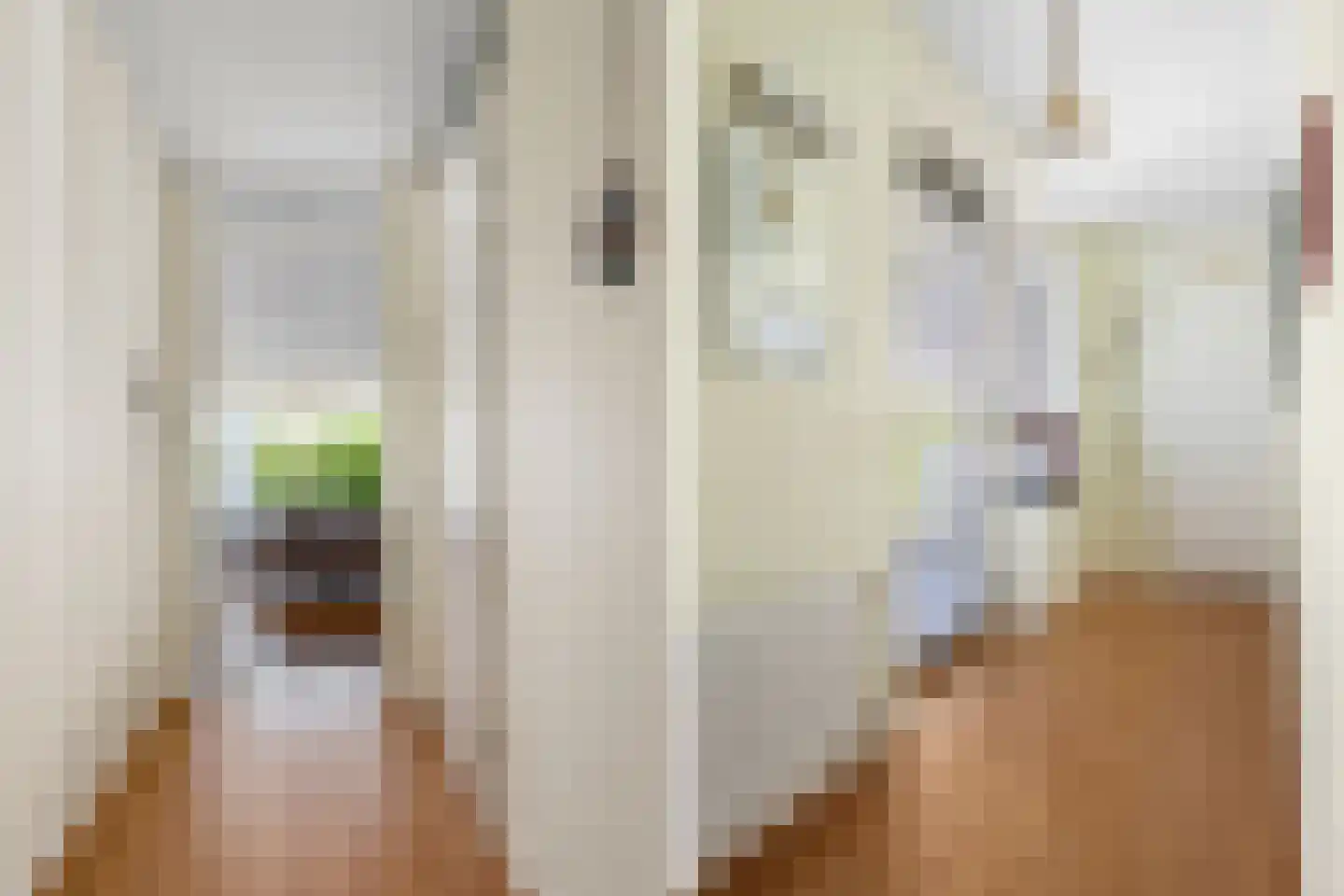 Oude Heerlenerweg 97 Sittard thumbnail 7