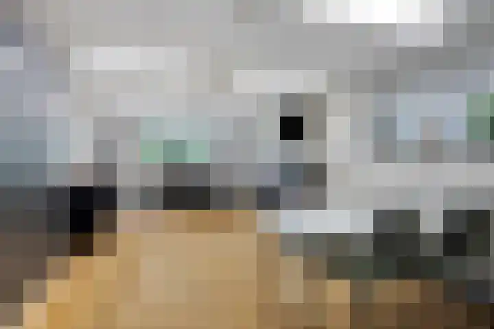 Oude Heerweg 12 A Blitterswijck thumbnail 20