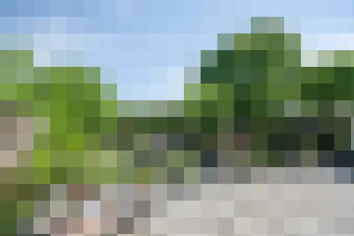 Oude Heerweg 12 A Blitterswijck thumbnail 43