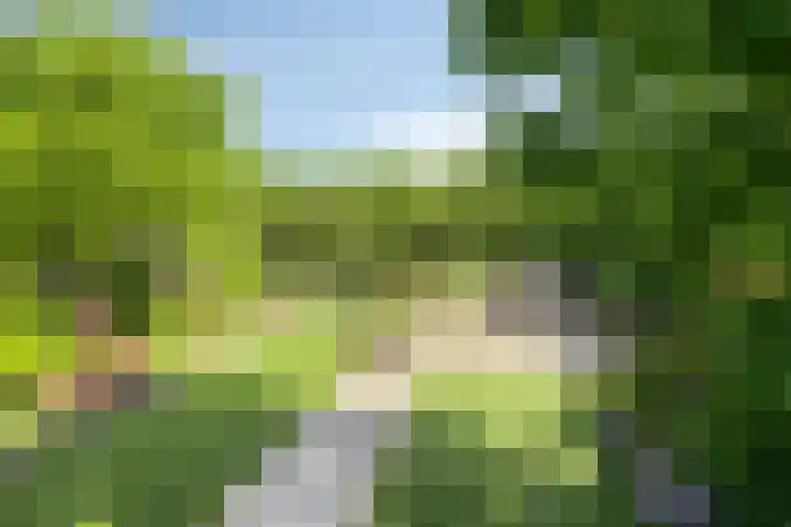 Oude Heerweg 12 A Blitterswijck thumbnail 46