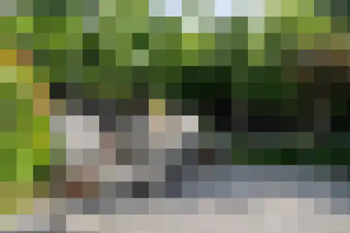 Oude Heerweg 12 A Blitterswijck thumbnail 48