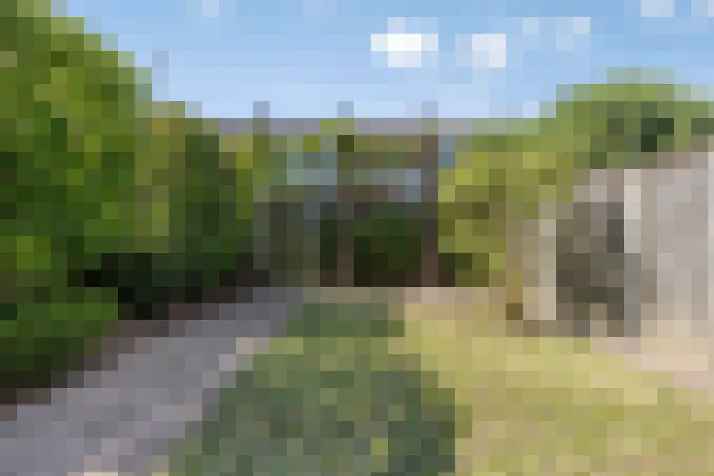Oude Heerweg 193 Velden thumbnail 41
