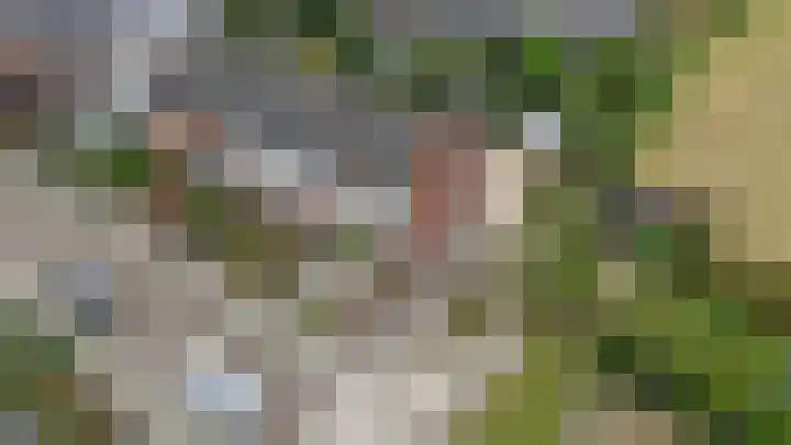 Oude Heerweg 195 Velden thumbnail 35