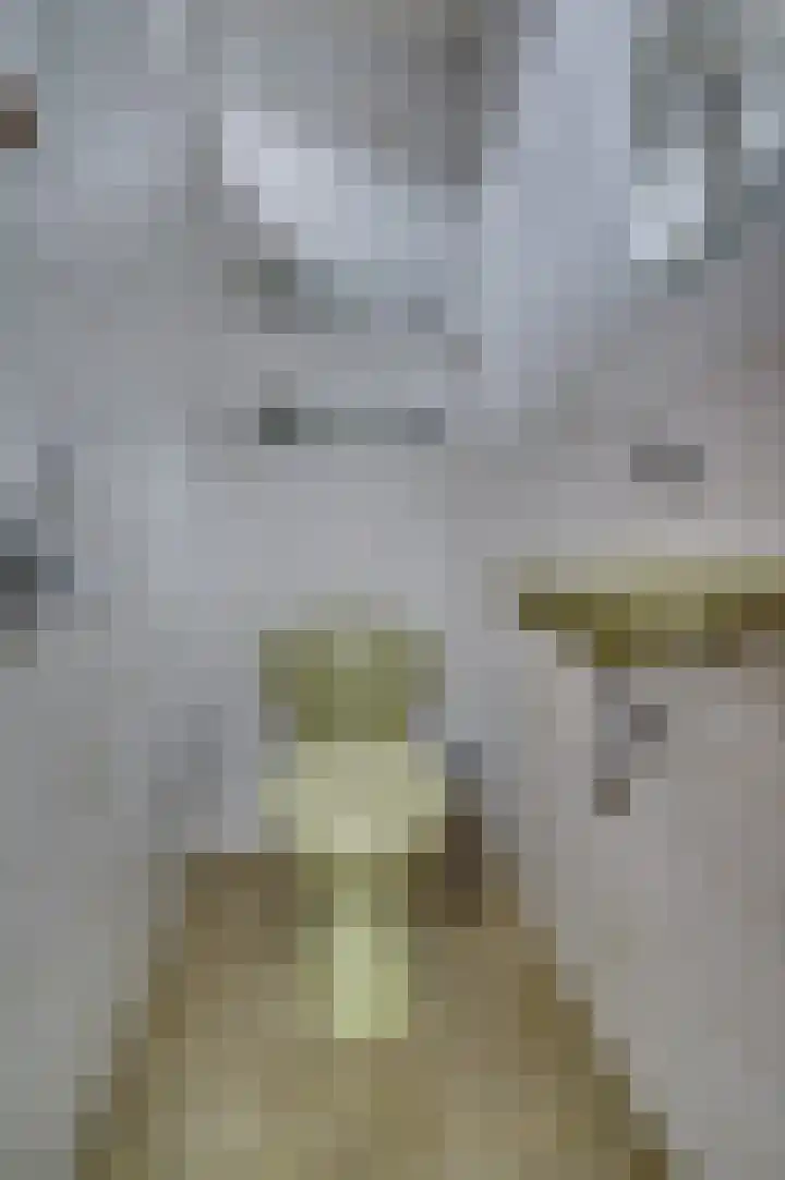 Oude Heerweg 199 Velden thumbnail 5