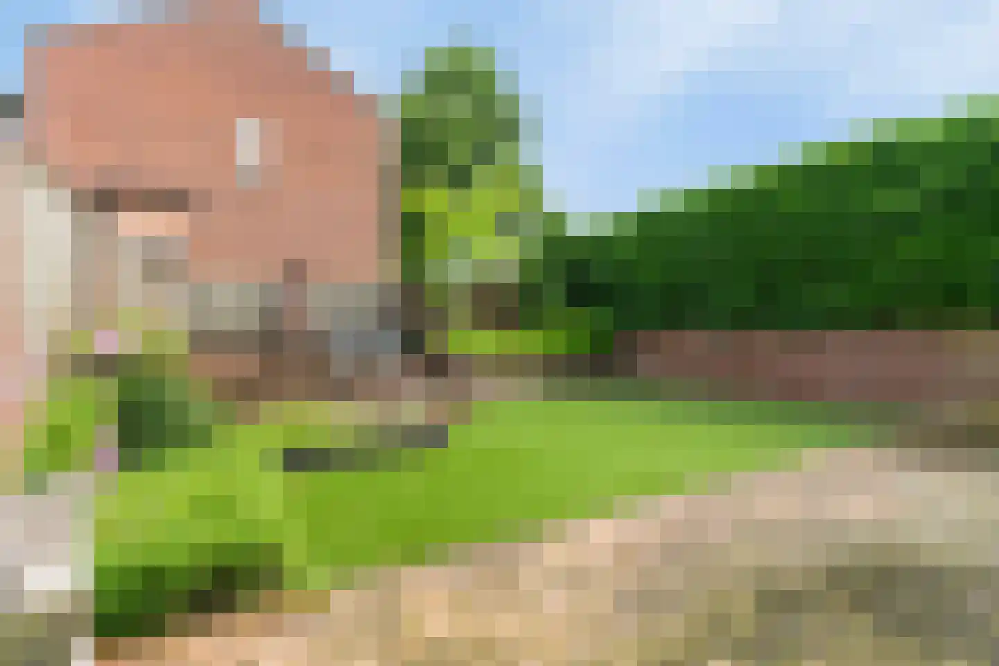 Oude Heerweg 209 Velden thumbnail 13