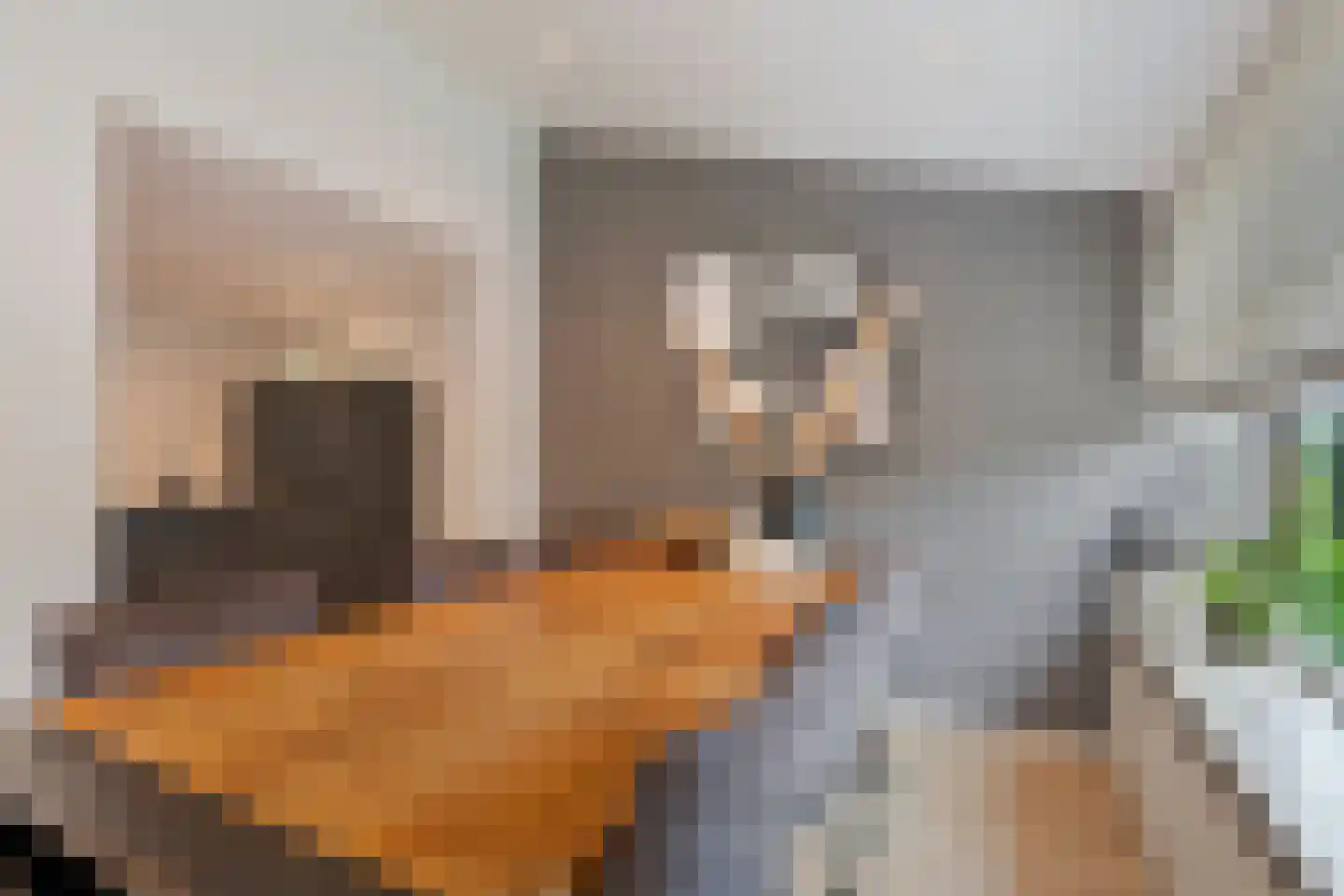 Oude Heerweg 209 Velden thumbnail 5