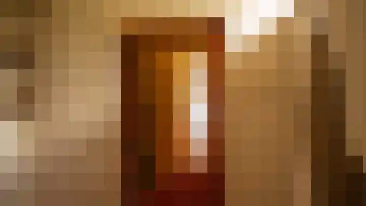 Oude Heerweg 21 Blitterswijck thumbnail 20