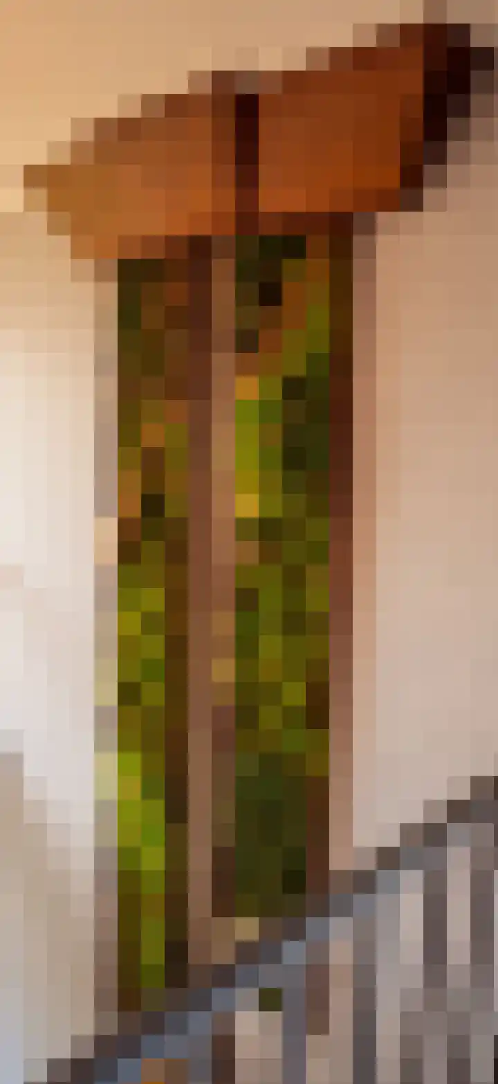 Oude Heerweg 21 Blitterswijck thumbnail 27