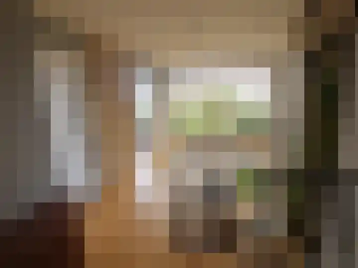 Oude Heerweg 21 Blitterswijck thumbnail 28