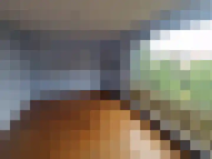 Oude Heerweg 21 Blitterswijck thumbnail 36
