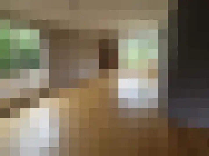 Oude Heerweg 21 Blitterswijck thumbnail 4