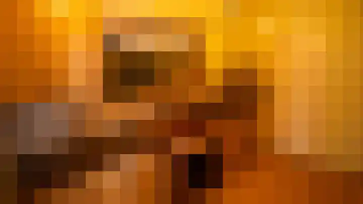 Oude Heerweg 21 Blitterswijck thumbnail 7
