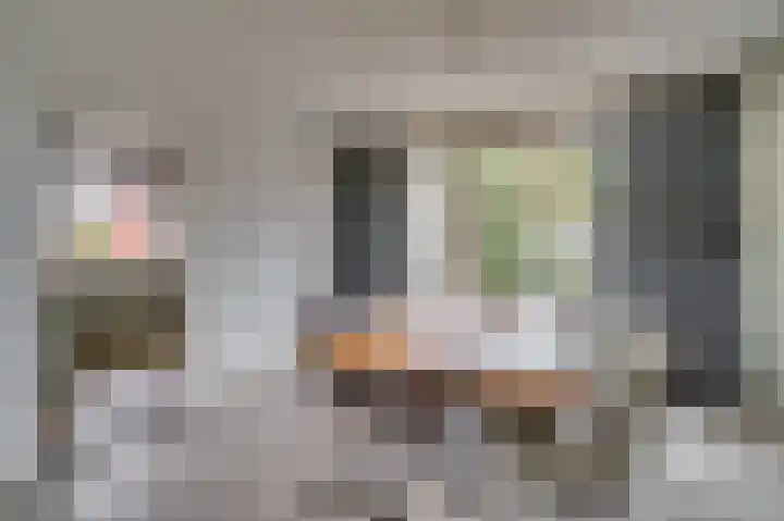 Oude Heerweg 33 Blitterswijck thumbnail 10