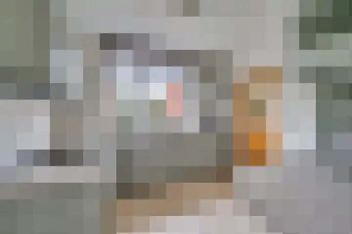 Oude Heerweg 33 Blitterswijck thumbnail 11