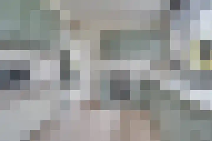 Oude Heerweg 33 Blitterswijck thumbnail 12