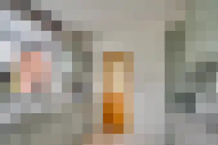 Oude Heerweg 33 Blitterswijck thumbnail 13