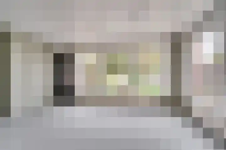 Oude Heerweg 33 Blitterswijck thumbnail 14