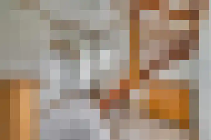 Oude Heerweg 33 Blitterswijck thumbnail 17