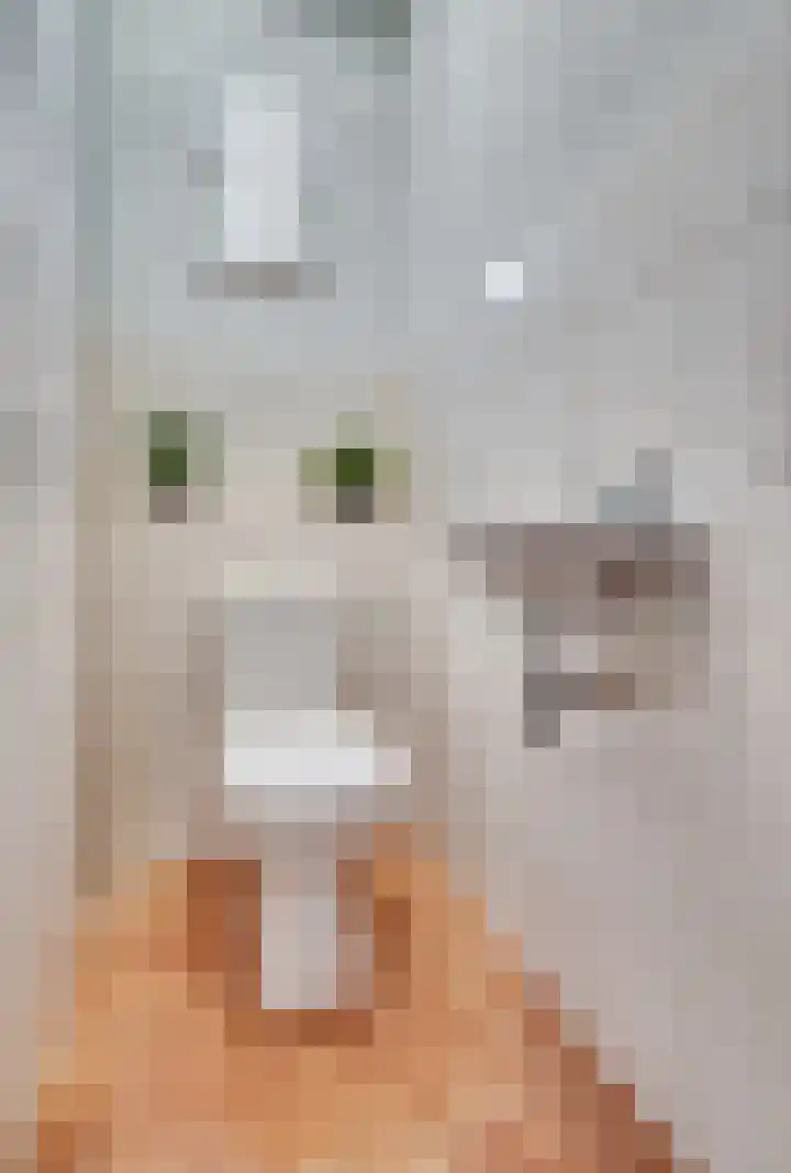 Oude Heerweg 33 Blitterswijck thumbnail 18