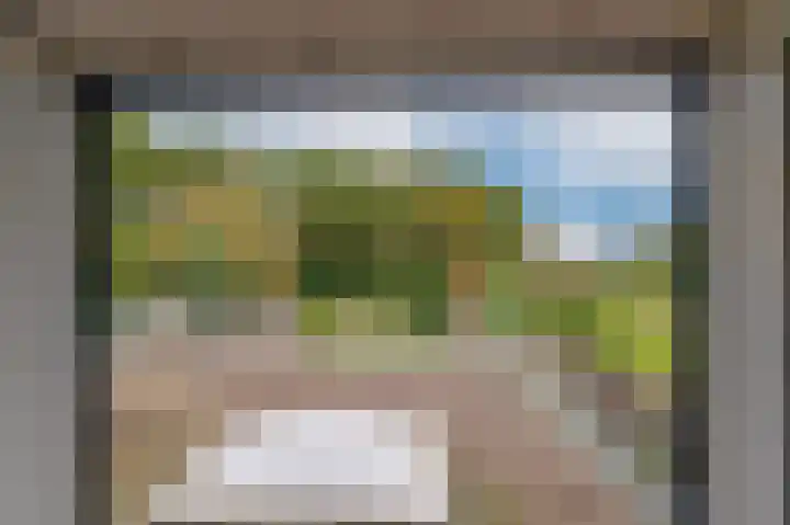 Oude Heerweg 33 Blitterswijck thumbnail 24