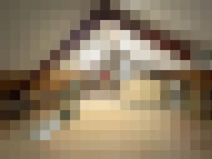 Oude Heerweg 33 Blitterswijck thumbnail 28