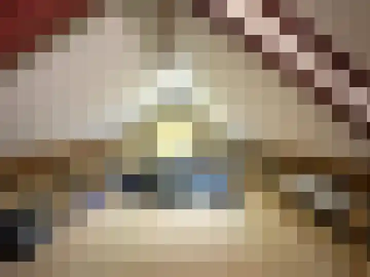 Oude Heerweg 33 Blitterswijck thumbnail 29