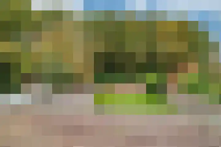 Oude Heerweg 33 Blitterswijck thumbnail 30