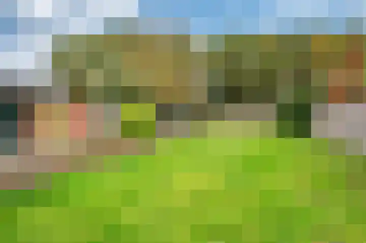 Oude Heerweg 33 Blitterswijck thumbnail 31