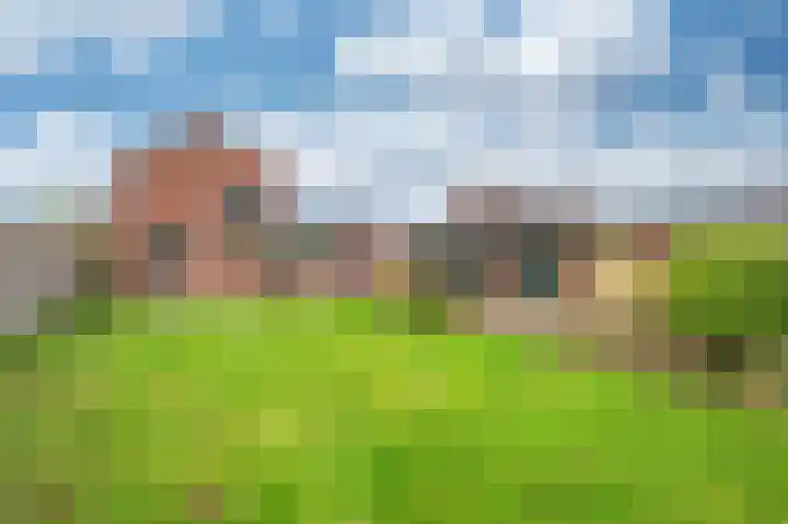 Oude Heerweg 33 Blitterswijck thumbnail 32