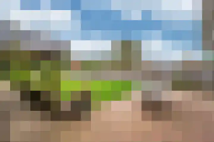Oude Heerweg 33 Blitterswijck thumbnail 33