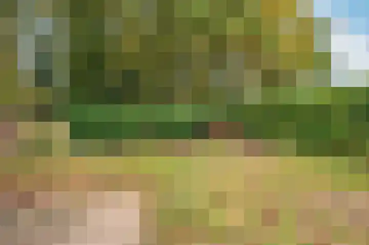 Oude Heerweg 33 Blitterswijck thumbnail 35