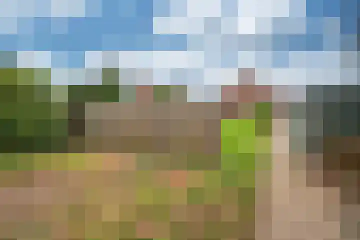 Oude Heerweg 33 Blitterswijck thumbnail 36