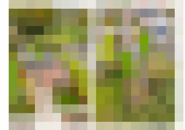 Oude Heerweg 33 Blitterswijck thumbnail 37