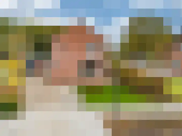 Oude Heerweg 33 Blitterswijck thumbnail 38