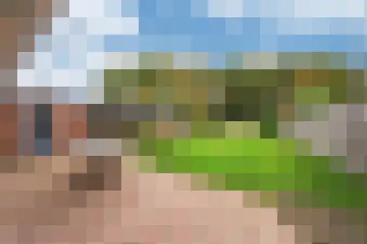 Oude Heerweg 33 Blitterswijck thumbnail 4
