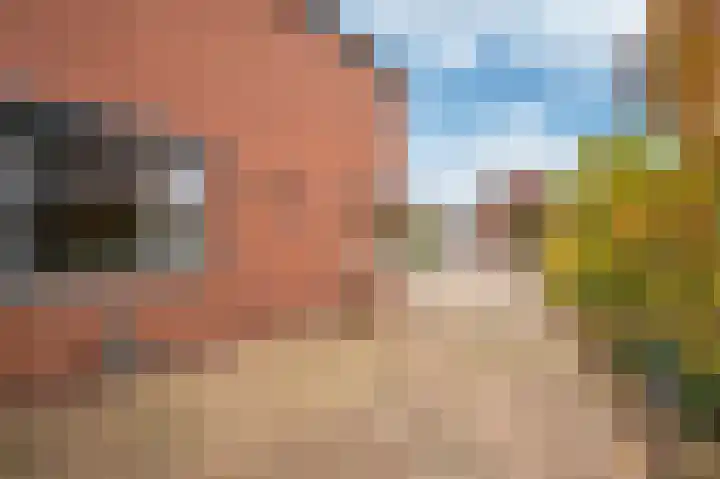 Oude Heerweg 33 Blitterswijck thumbnail 40