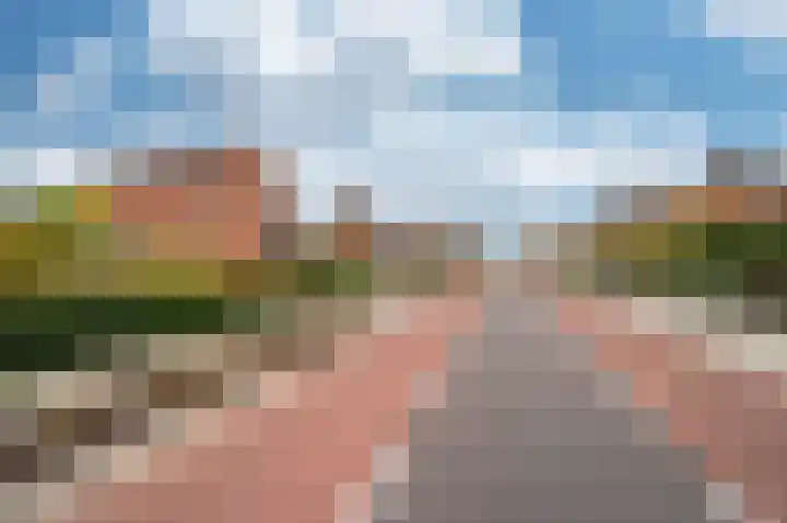 Oude Heerweg 33 Blitterswijck thumbnail 41
