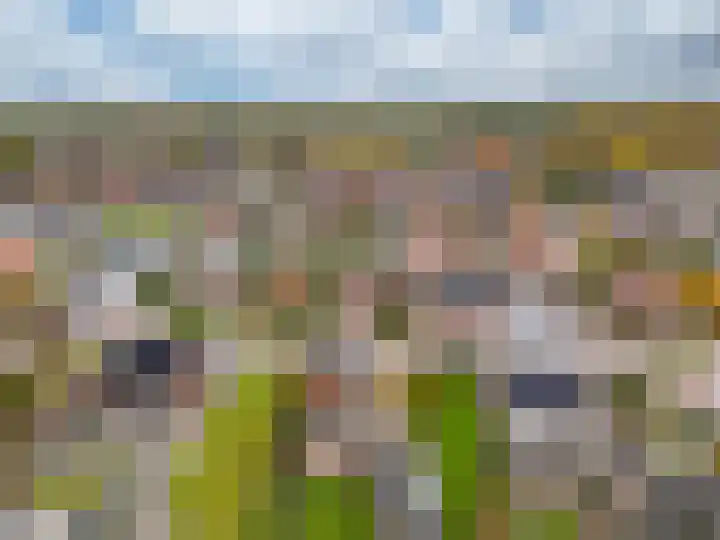 Oude Heerweg 33 Blitterswijck thumbnail 42